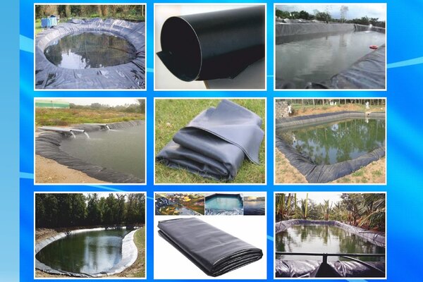 pondliner-1